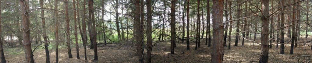 Лошакова Гута з panoramio.com - Лошакова Гута