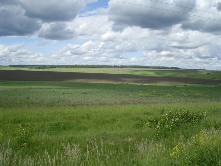 Ясенівка з panoramio.com - Ясенівка