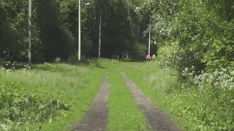 Гришки з panoramio.com - Гришки