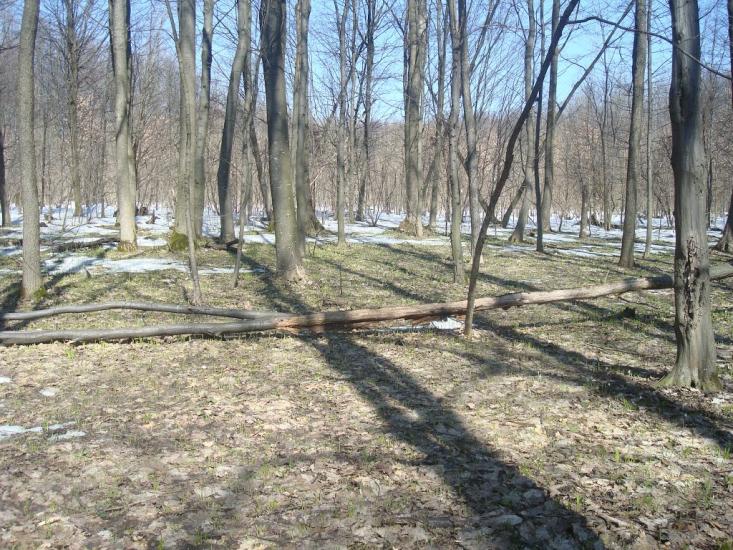 Новий Майдан з panoramio.com - Новий Майдан