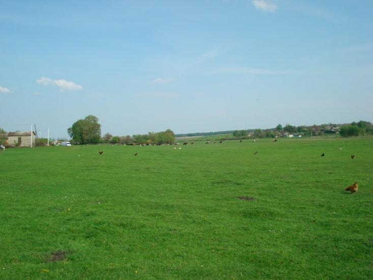 Дідилів з panoramio.com - Дідилів