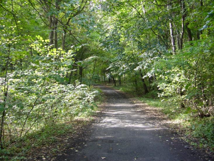 Перевіз з panoramio.com - Перевіз