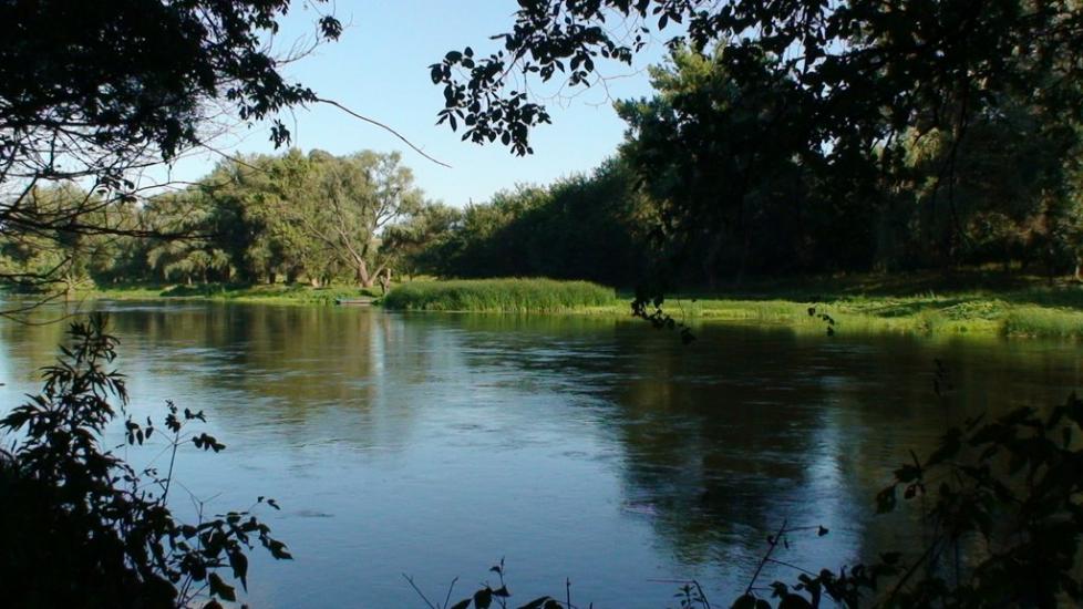 Пискунівка з panoramio.com - Pyskunivka