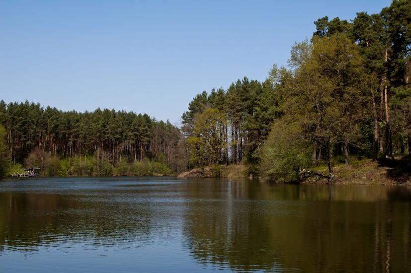 Козлин з panoramio.com - Козлин