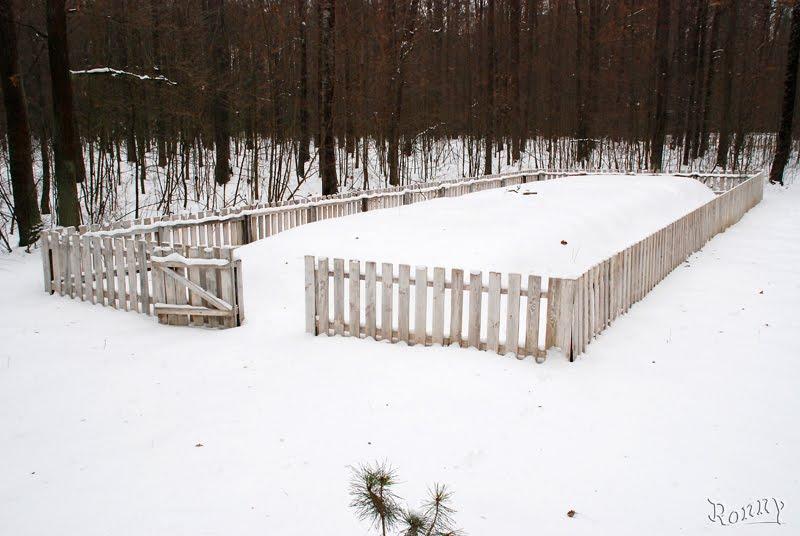 Довжик з panoramio.com - Довжик