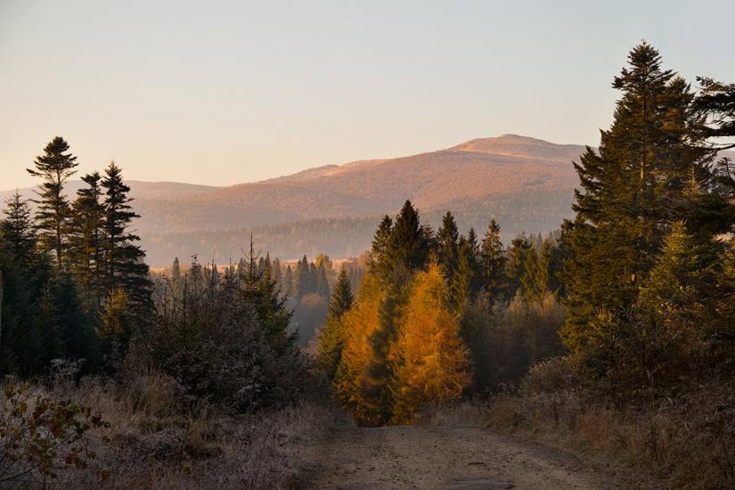 Біньова з panoramio.com - Бенева