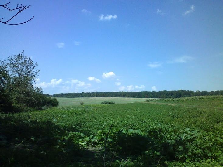 Сатанівка з panoramio.com - Сатановка
