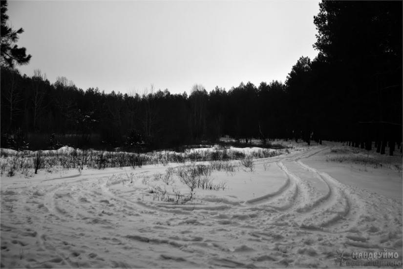 Мала Перещепина з panoramio.com - Малая Перещепина