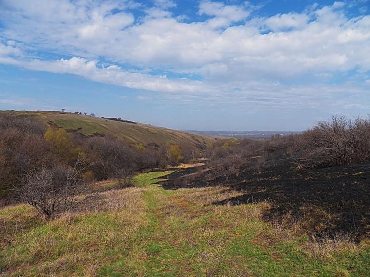 Юнокомунарівськ з panoramio.com - Юнокомунаровск