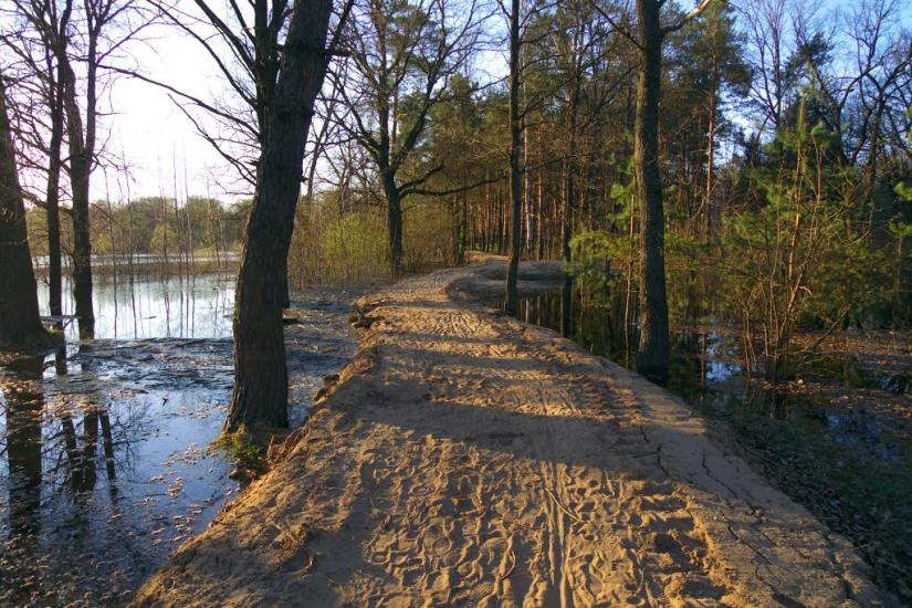 Скиток з panoramio.com - Скиток