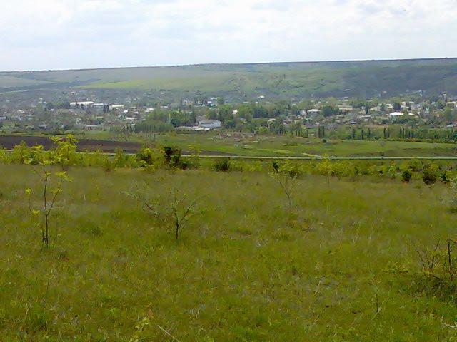 Фрунзівка з panoramio.com - Фрунзівка