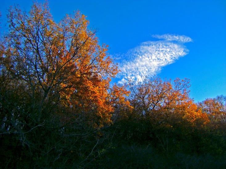 Придніпрянське з panoramio.com - Придніпрянське
