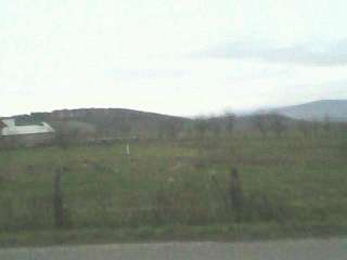 Лецовиця - Лецовиця