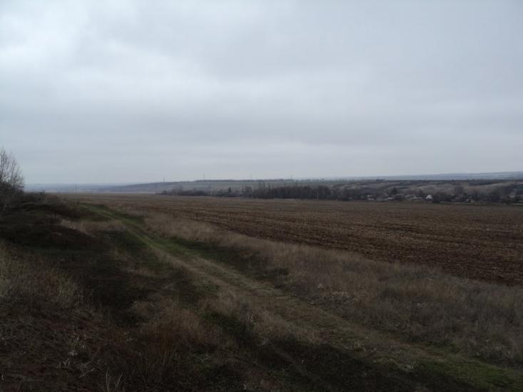 Новгородське з panoramio.com - Новгородське