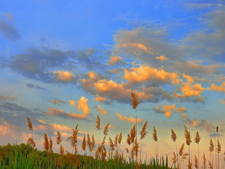 Жданівка з panoramio.com - Ждановка
