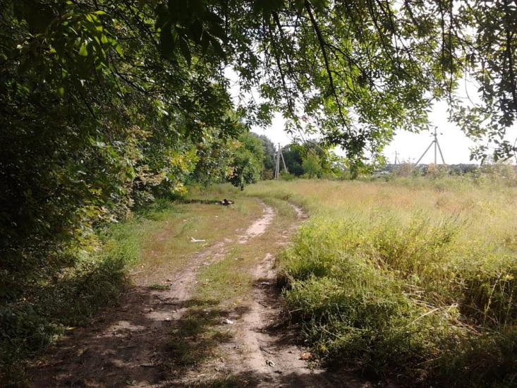 Березань з panoramio.com - Березань