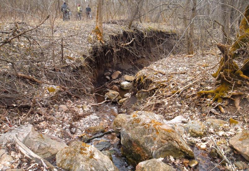 Куріпчине з panoramio.com - Kuripchyne