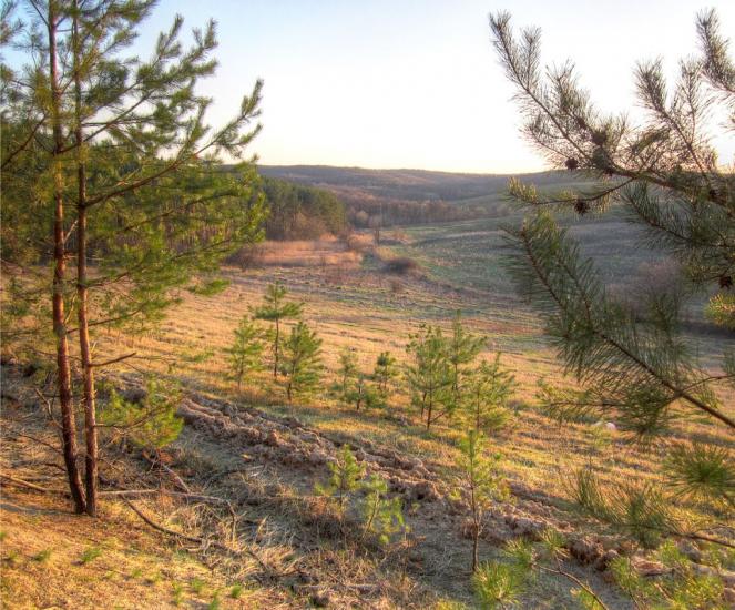 Городище з panoramio.com - Городище