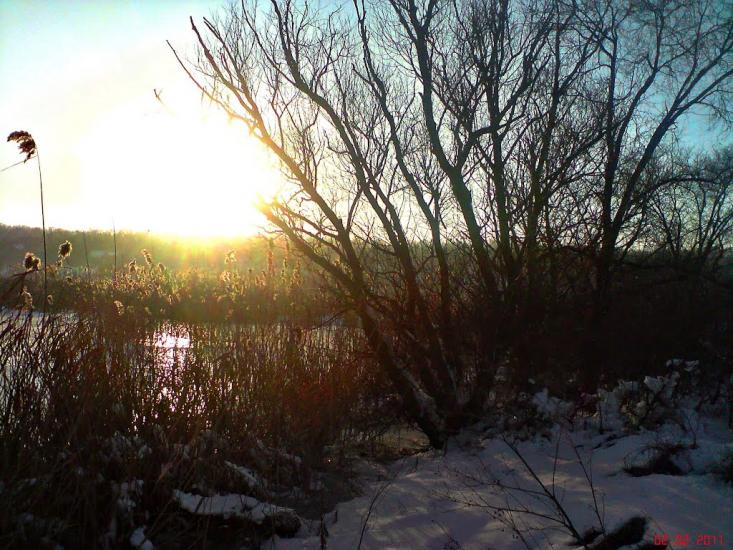Суворове з panoramio.com - Suvorove