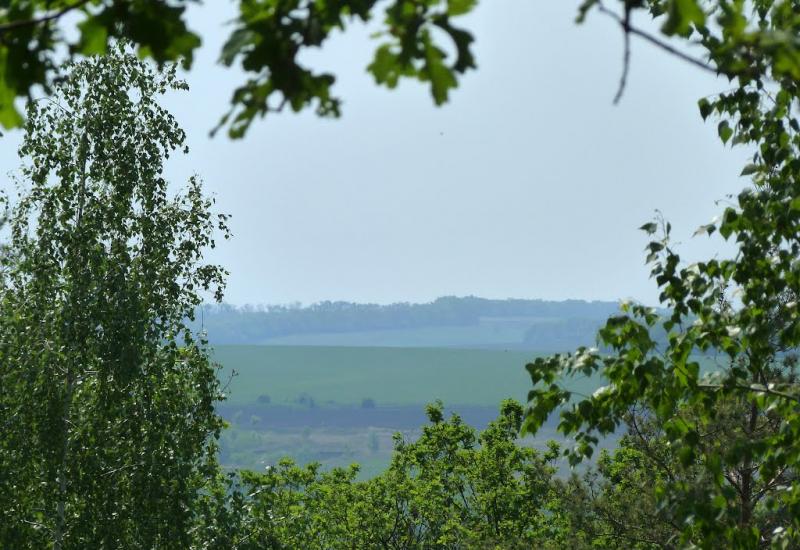Бірки з panoramio.com - Birky