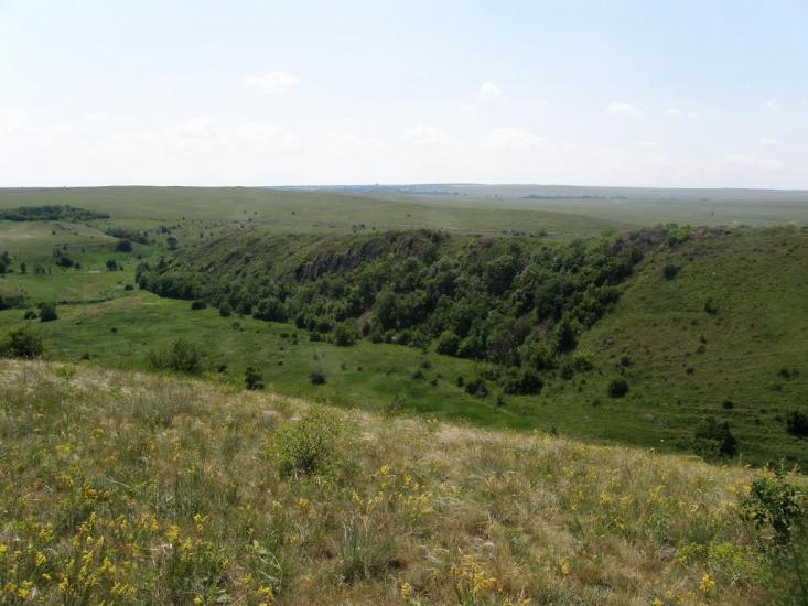 Киселеве з panoramio.com - Киселево