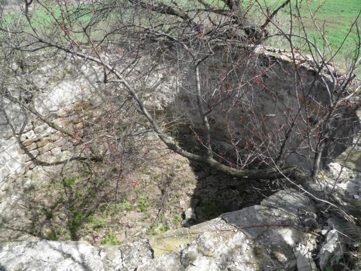 Новгородське з panoramio.com - Новгородське
