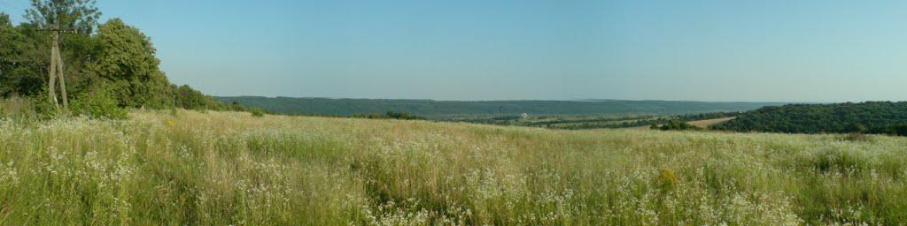 Перевозець з panoramio.com - Перевозець