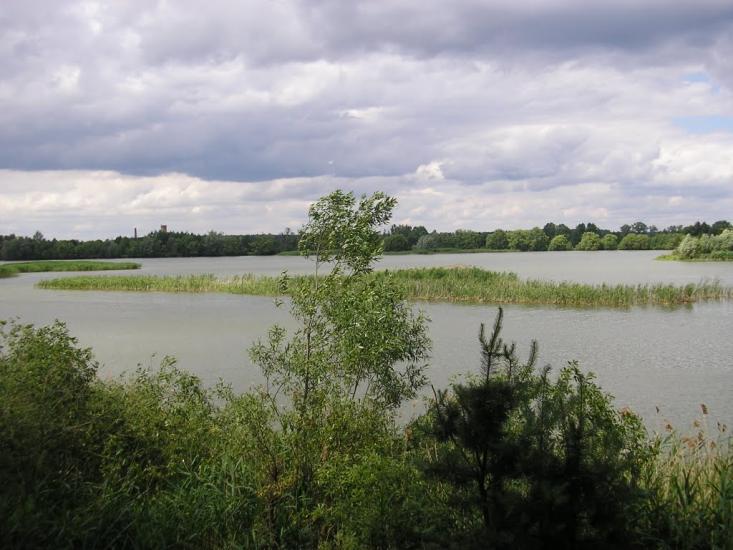 Зноб-Новгородське з panoramio.com - Зноб-Новгородське