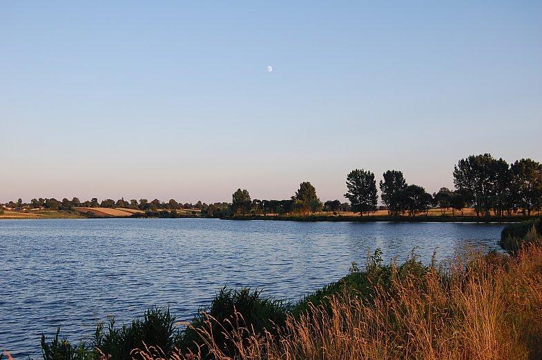 Рогізне з panoramio.com - Рогозное