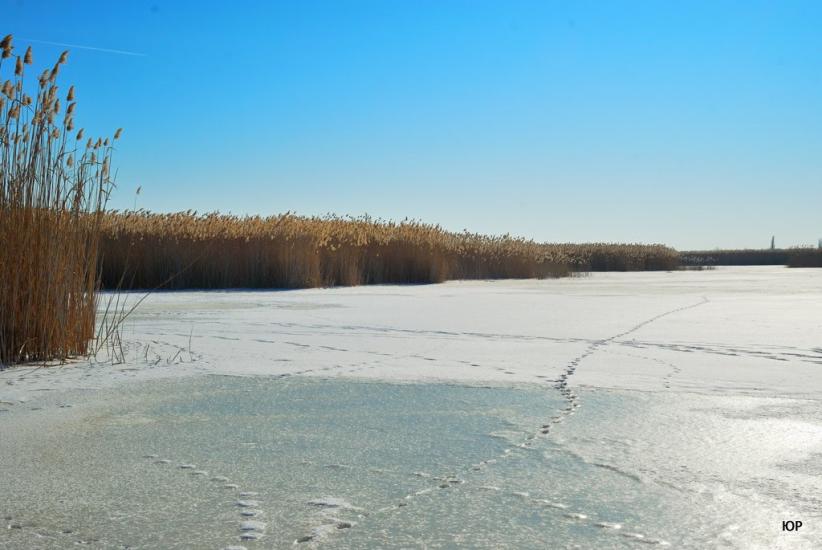 Мала Перещепина з panoramio.com - Малая Перещепина
