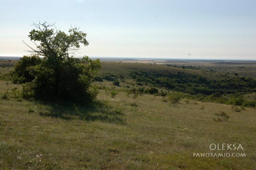 Рєпіне з panoramio.com - Репино