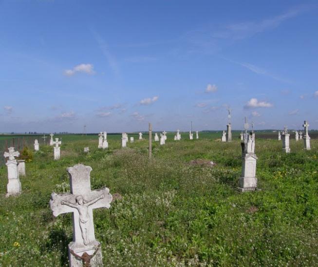 Стаївка з panoramio.com - Стаївка