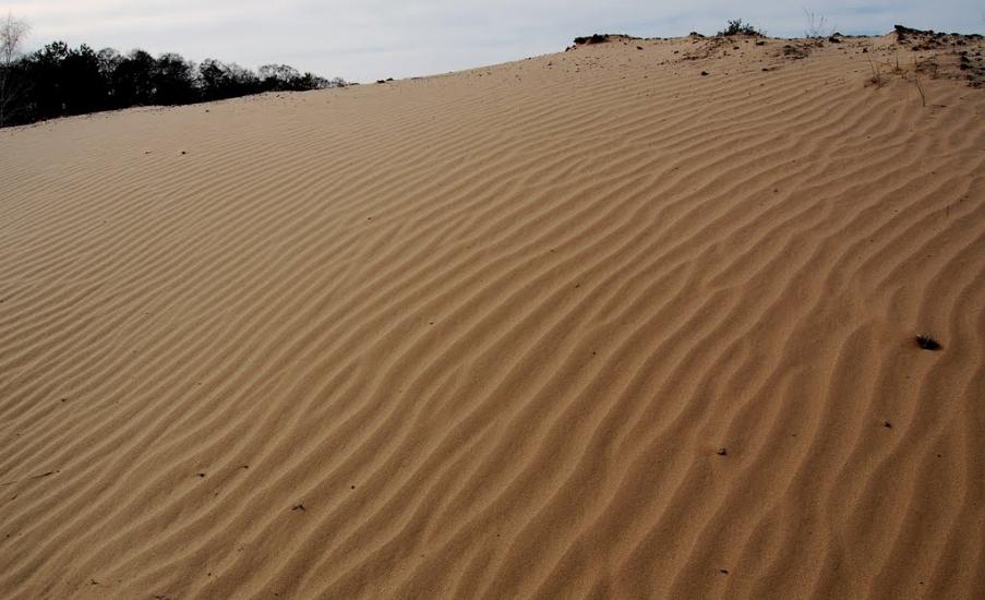 Кицівка з panoramio.com - Кицевка