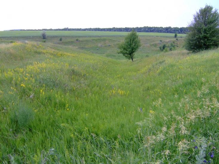 Мале з panoramio.com - Мале