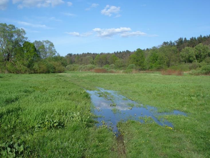 Куликовичі з panoramio.com - Куликовичі
