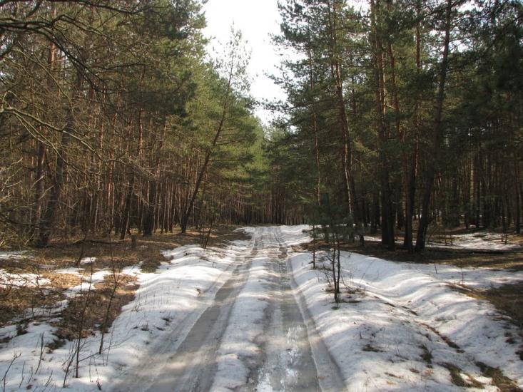 Підлісне з panoramio.com - Pidlisne