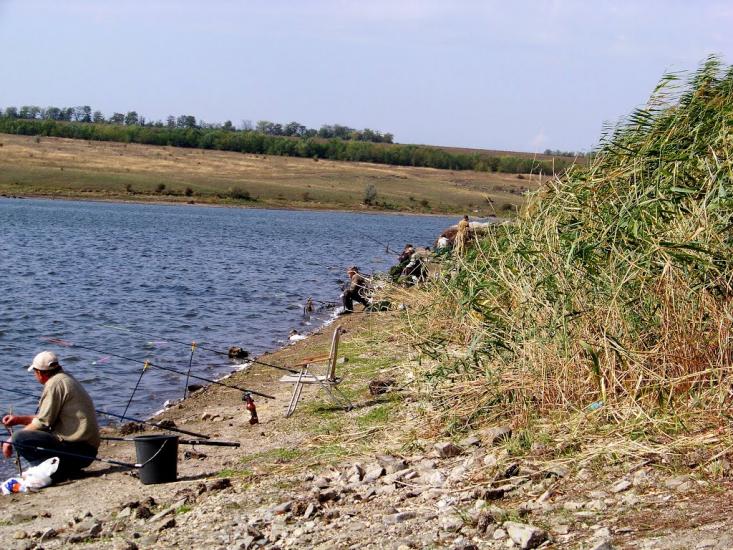 Розанівка з panoramio.com - Розановка