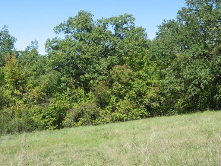 Шершенці з panoramio.com - Shershentsi