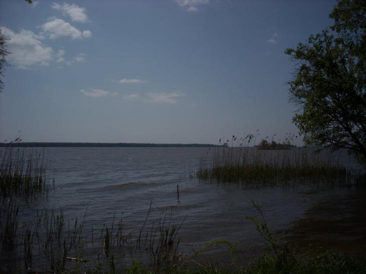 Святилівка з panoramio.com - Святиловка