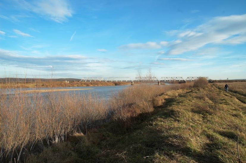 Дубівці з panoramio.com - Дубовцы