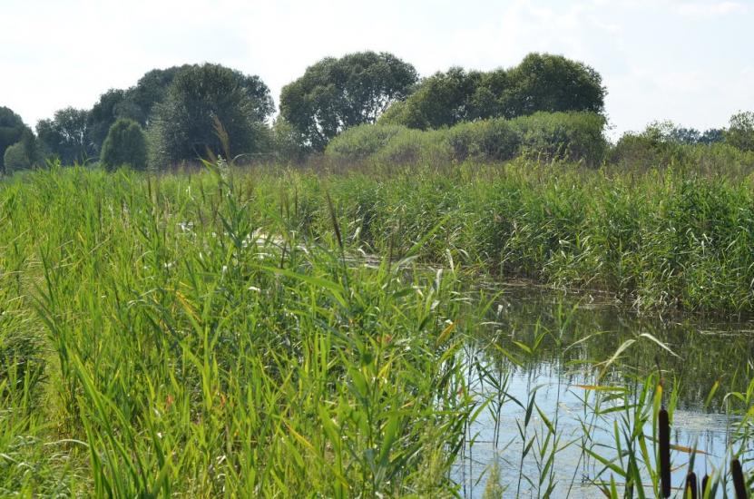 Сезенків з panoramio.com - Сезенков