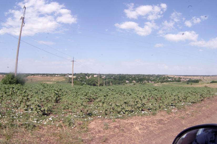 Кузнеці з panoramio.com - Кузнеці