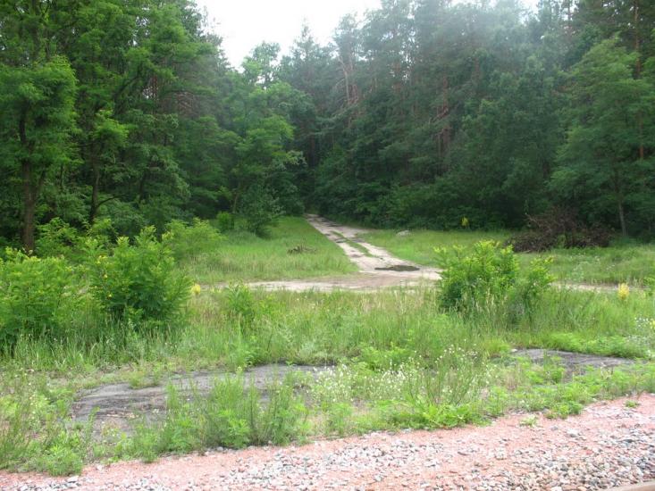 Княжичі з panoramio.com - Княжичі