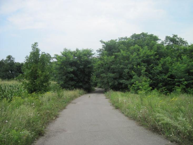 Павлиш з panoramio.com - Павлиш