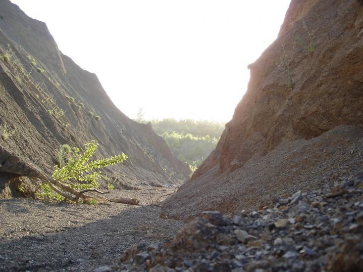 Роздольне з panoramio.com - Роздольное