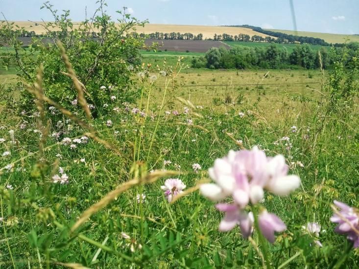 Новоукраїнка з panoramio.com - Новоукраїнка