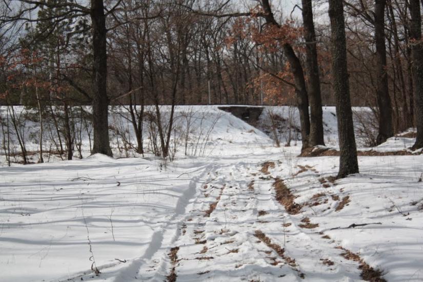 Дмитрівка з panoramio.com - Дмитрівка