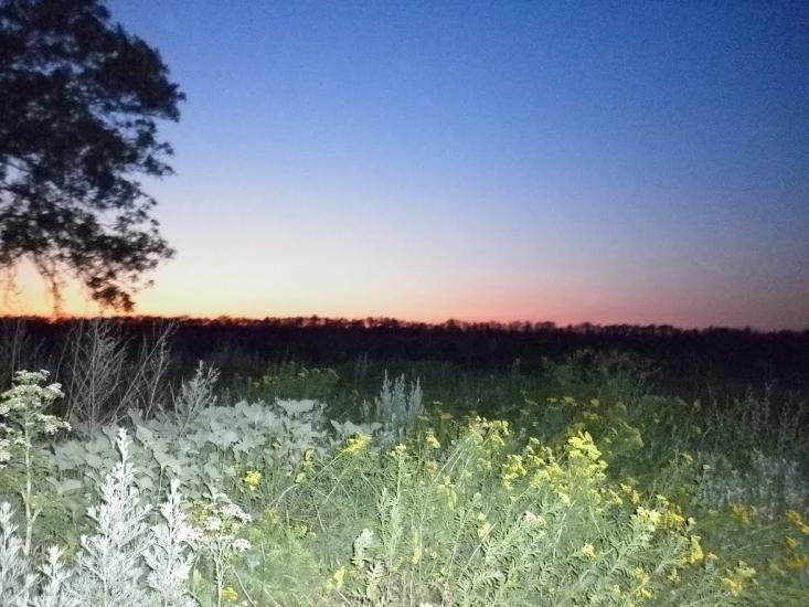 Козацьке з panoramio.com - Козацьке