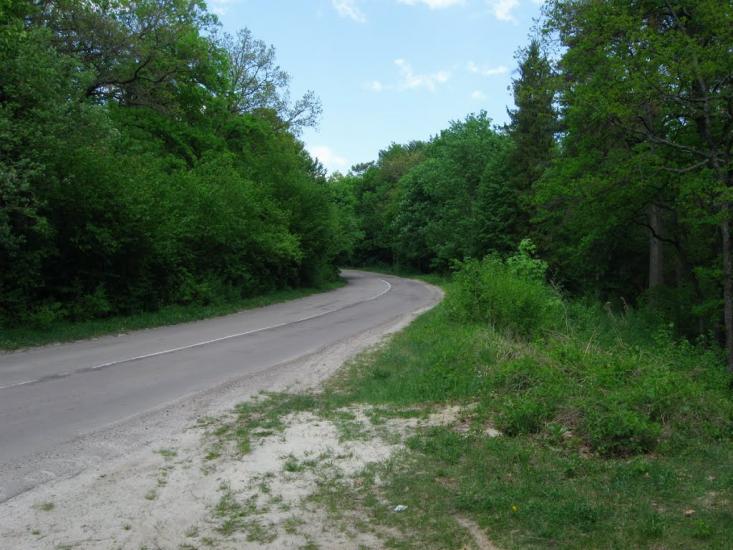 Страдч з panoramio.com - Stradch