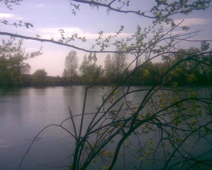 Бушеве з panoramio.com - Бушево